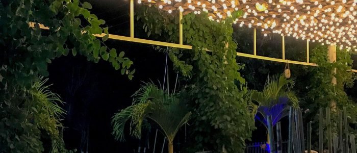 area 51 the cafe hideout