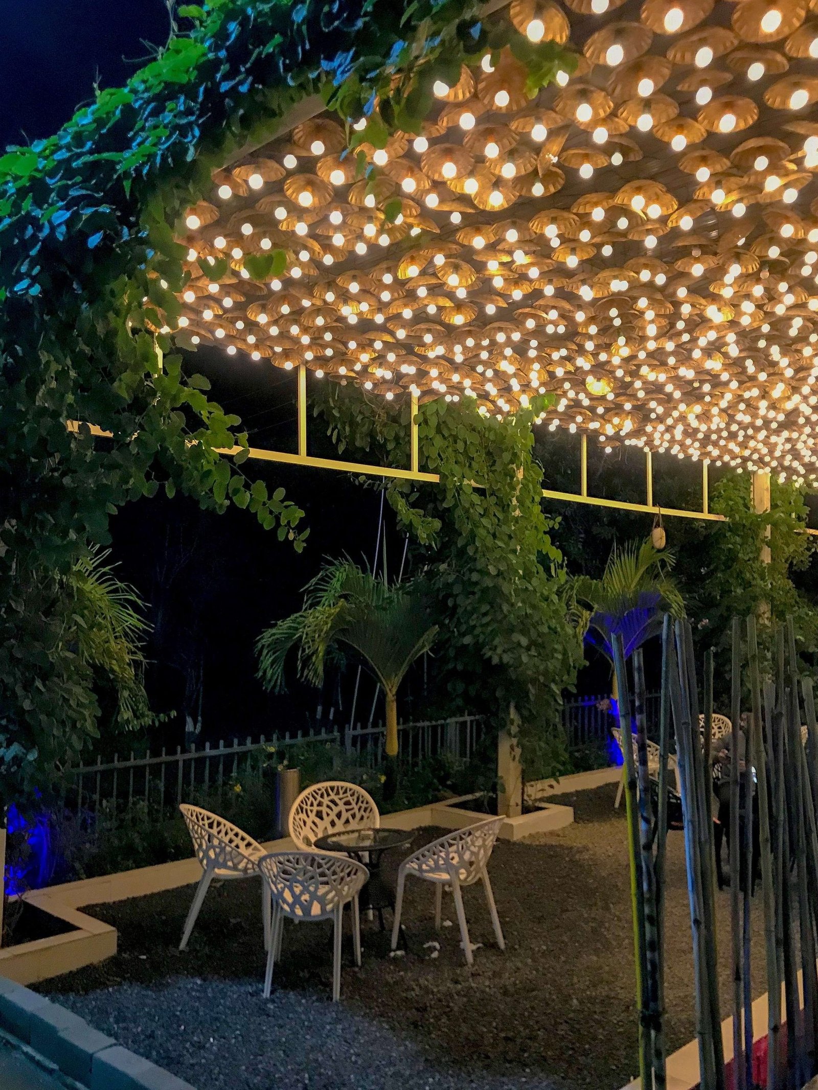 area 51 the cafe hideout scaled