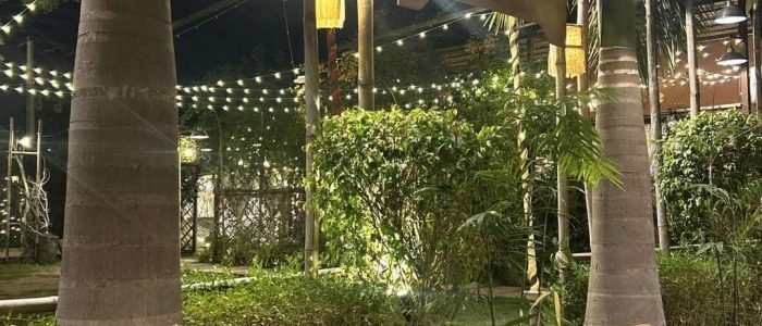 best coffee shops in gujarat india a complete guide to top cafes and brews