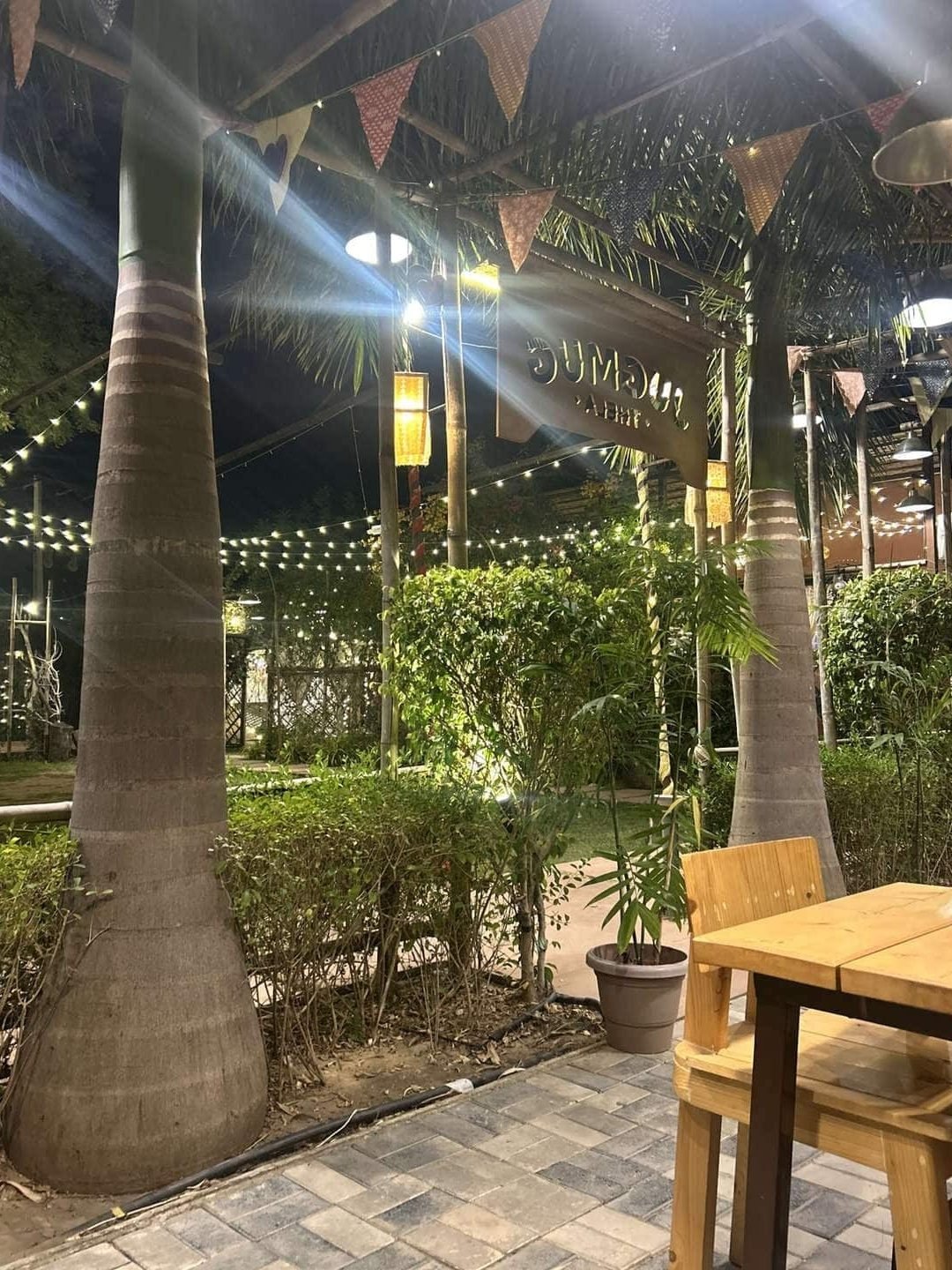 best coffee shops in gujarat india a complete guide to top cafes and brews