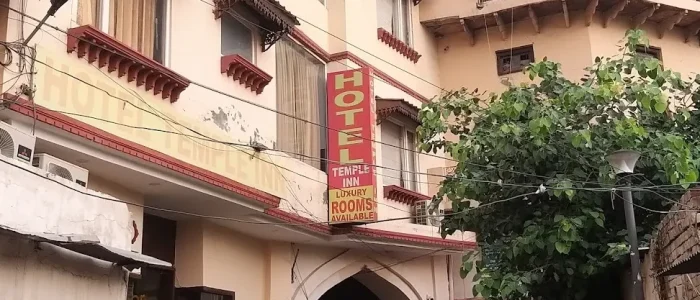 cafe green saragarhi sarai