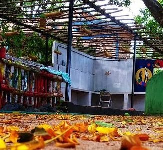 chilla art cafeold picnic spot 1