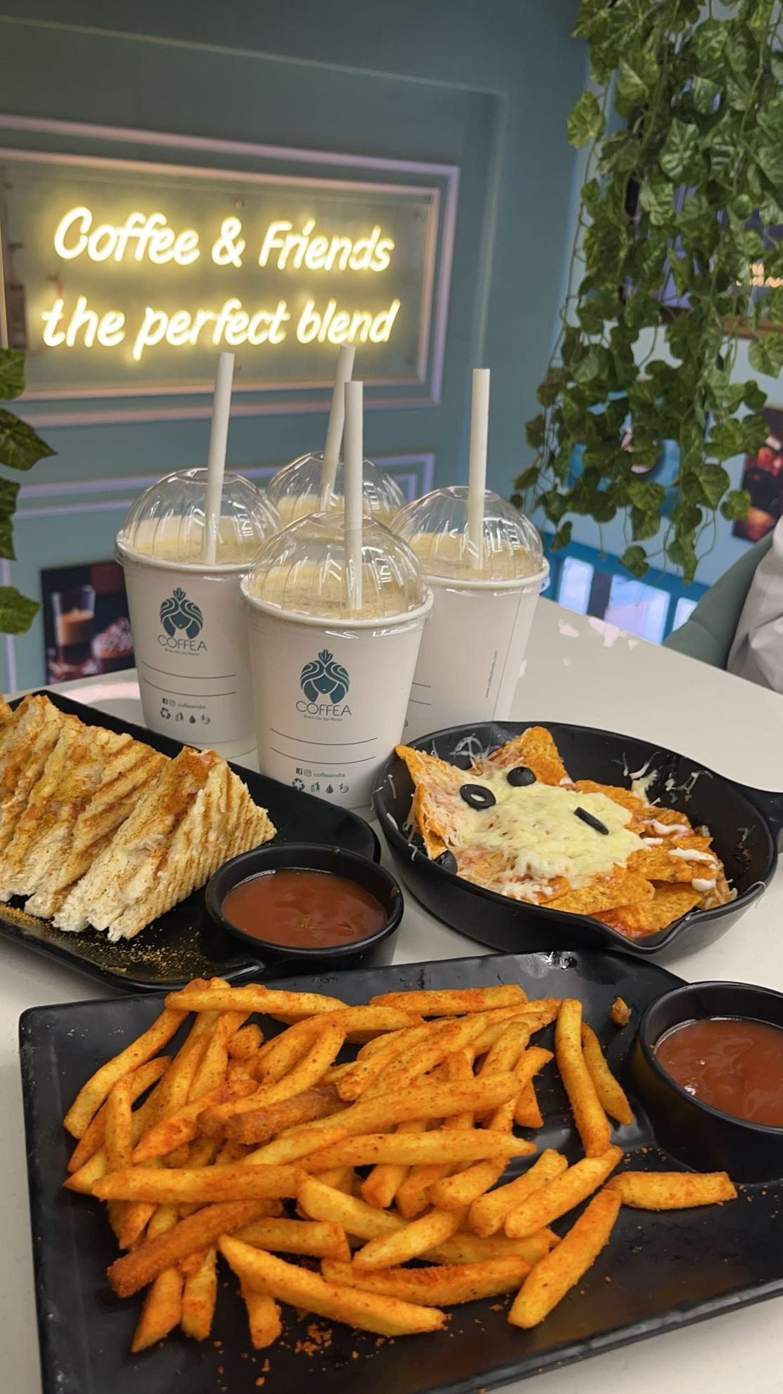 coffea sambhajinagar 1