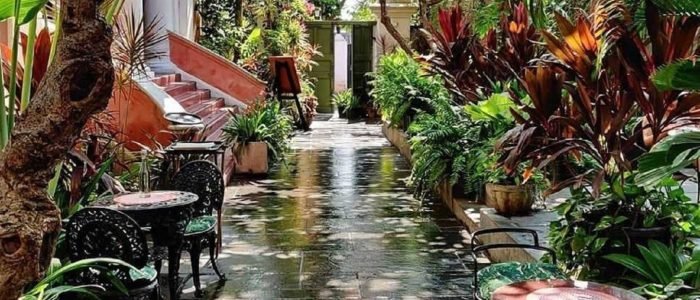 Discover the Best Coffee Shops in Pondicherry, India: A Local's Guide 1 discover the best coffee shops in pondicherry india a locals guide