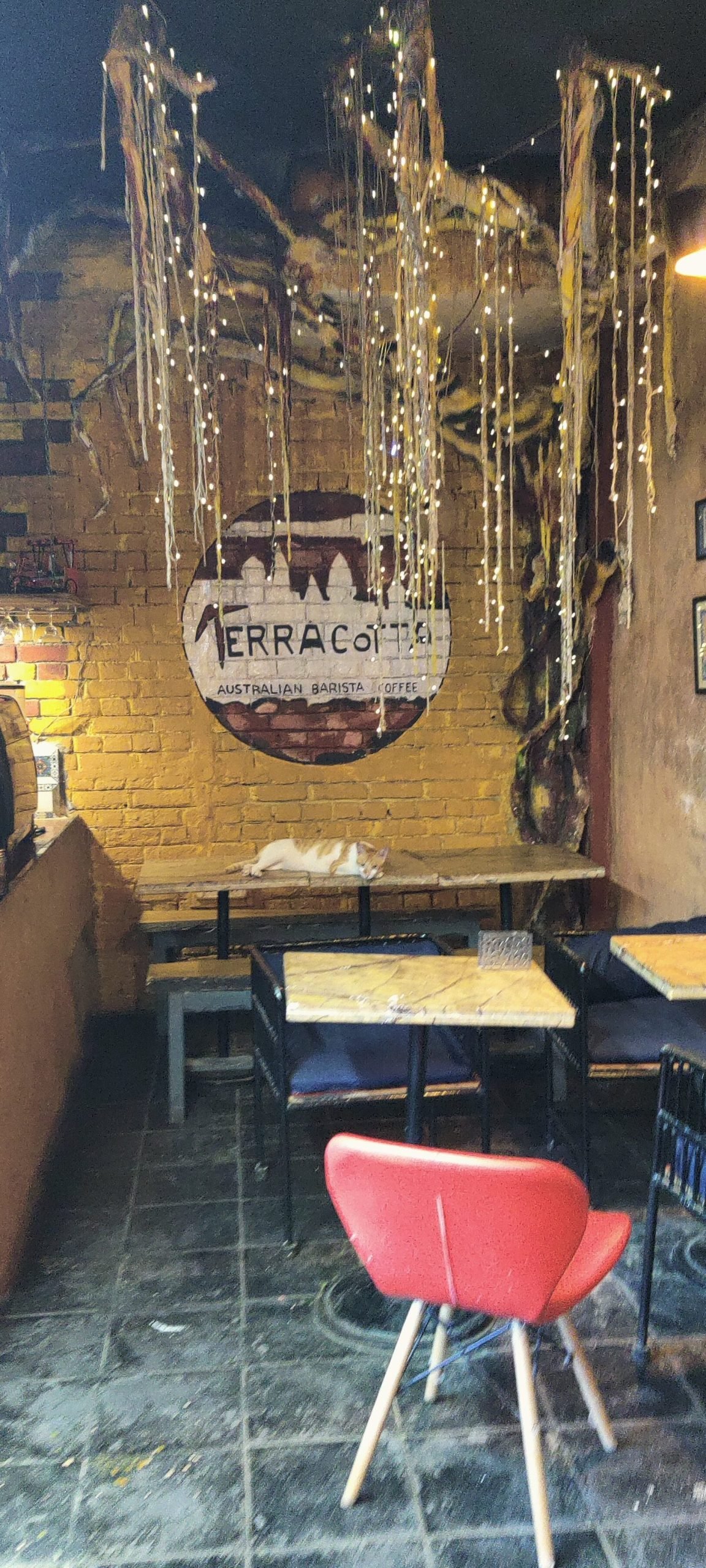 Discover the Best Coffee Shops in Varanasi, India: A Complete Guide 5 discover the best coffee shops in varanasi india a complete guide scaled