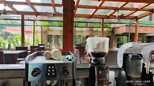 Cine Tree Cafe | Best Coffee shop near Connaught place