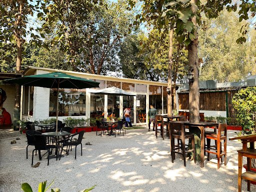 Hamoni: Cafe by the Greens