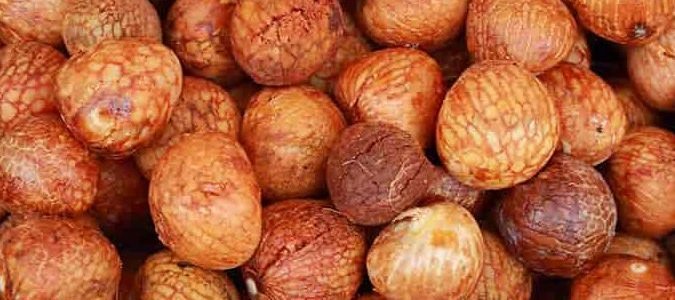 hari bhai bettel shop 1