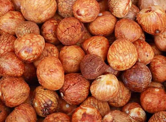 Hari Bhai Bettel Shop 2 hari bhai bettel shop 1