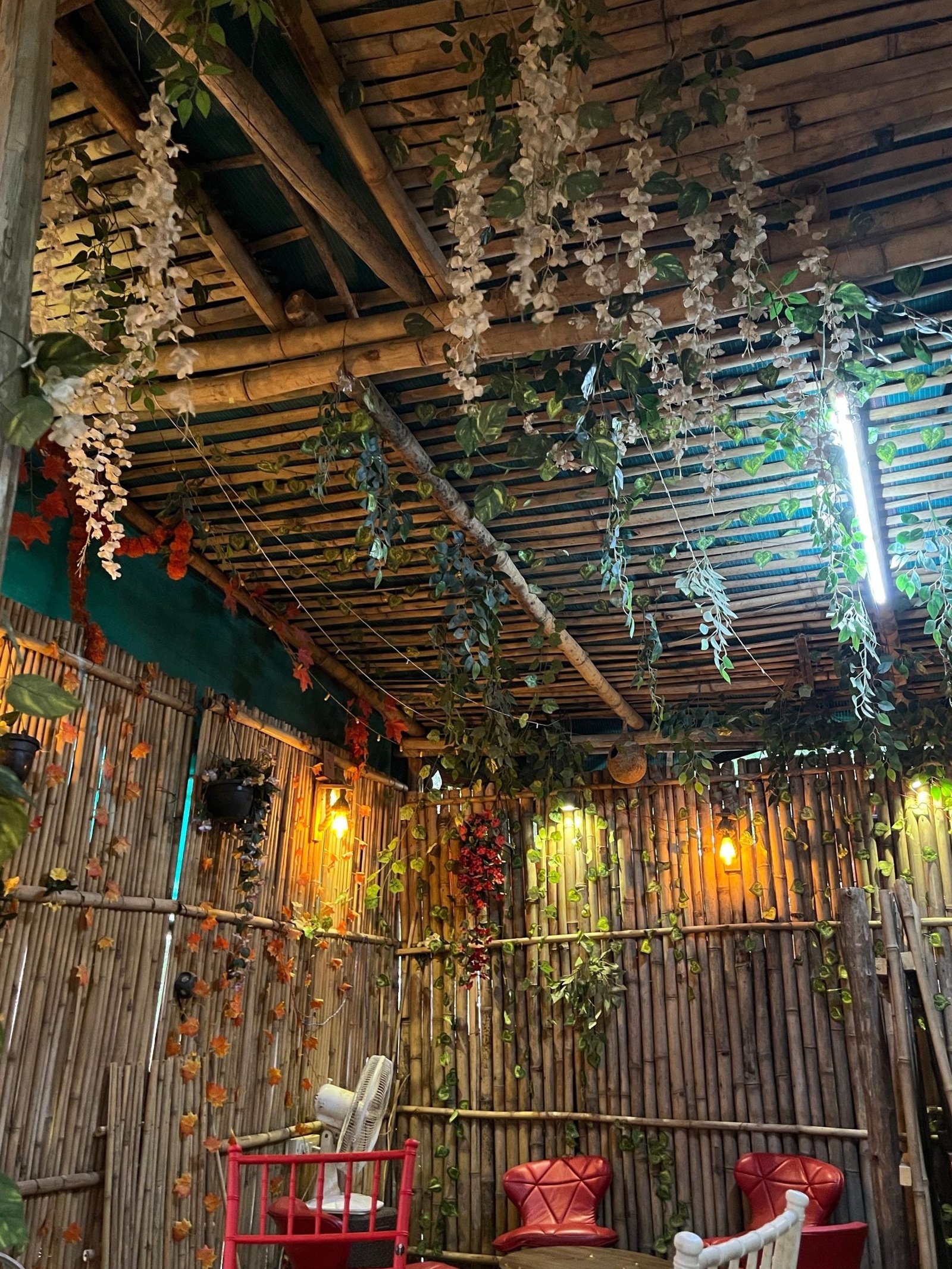 VV SQUARE CAFE BEST CAFE IN AJMER 8 vv square cafe best cafe in ajmer scaled